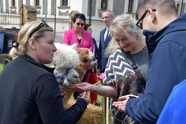 Dzień Godności Osób z Niepełnosprawnością Intelektualną