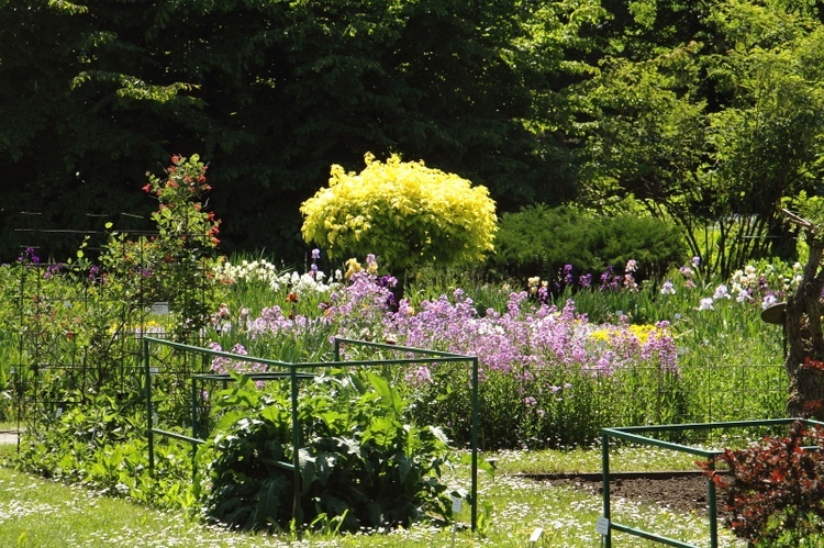 Z wizytą w Ogrodzie Botanicznym UJ