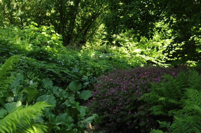 Z wizytą w Ogrodzie Botanicznym UJ