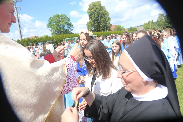 Przyjęcie przewodniczek DSM