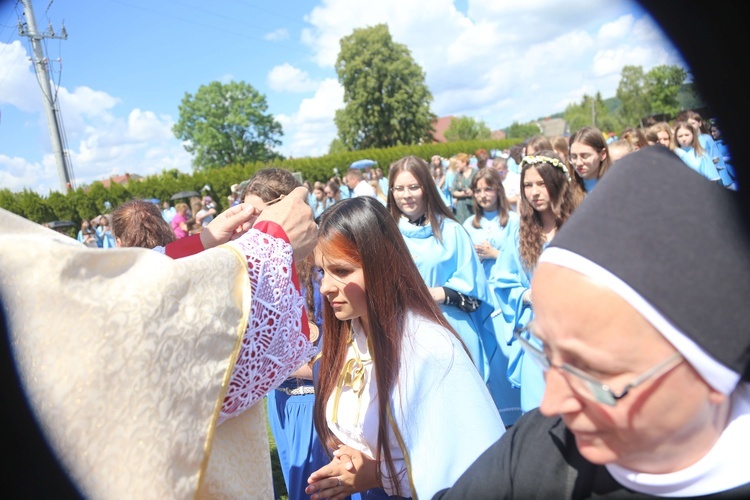 Przyjęcie przewodniczek DSM