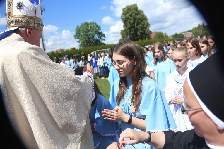 Przyjęcie przewodniczek DSM