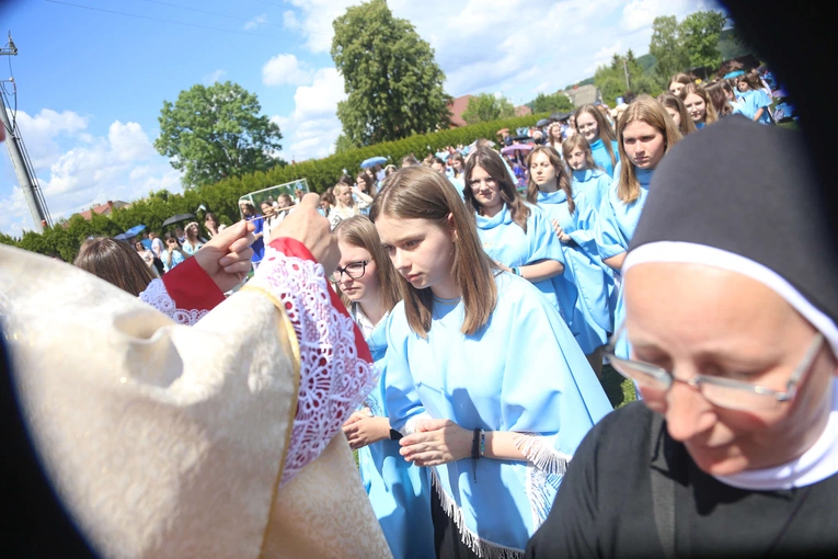 Przyjęcie przewodniczek DSM