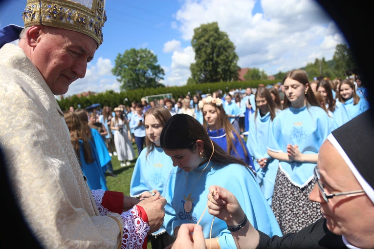 Przyjęcie przewodniczek DSM