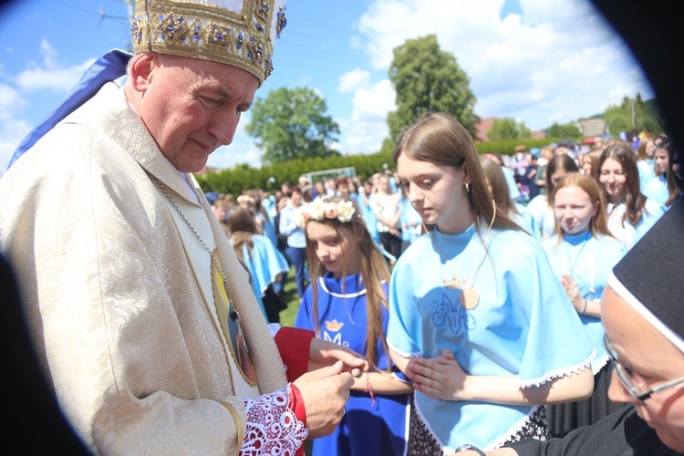 Przyjęcie przewodniczek DSM