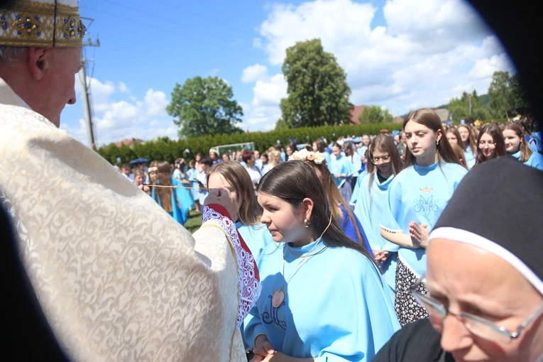 Przyjęcie przewodniczek DSM