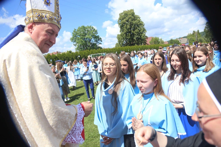 Przyjęcie przewodniczek DSM