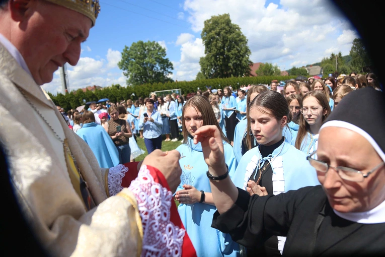 Przyjęcie przewodniczek DSM