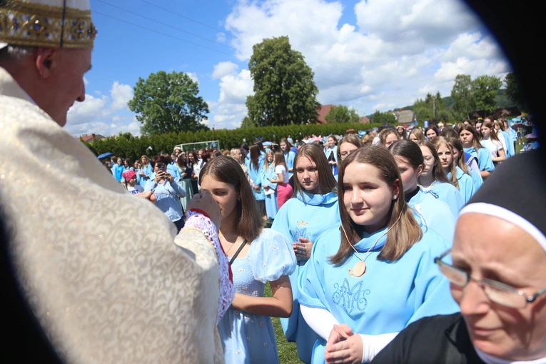 Przyjęcie przewodniczek DSM