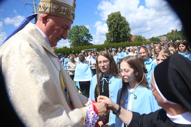 Przyjęcie przewodniczek DSM
