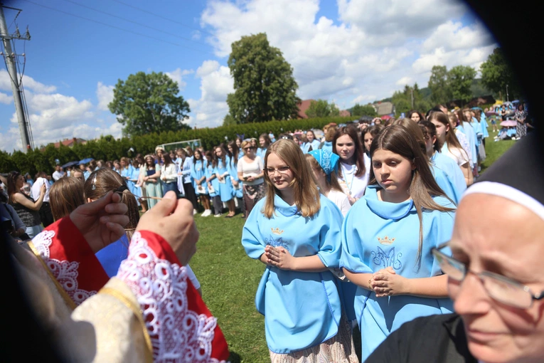 Przyjęcie przewodniczek DSM