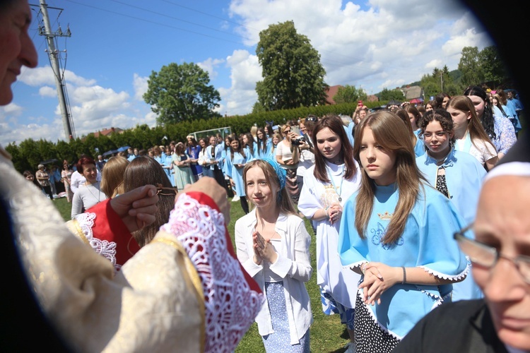 Przyjęcie przewodniczek DSM