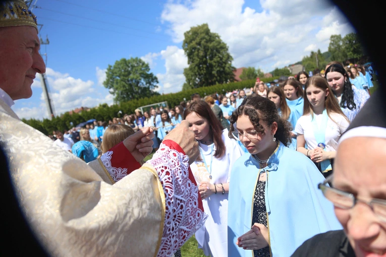 Przyjęcie przewodniczek DSM