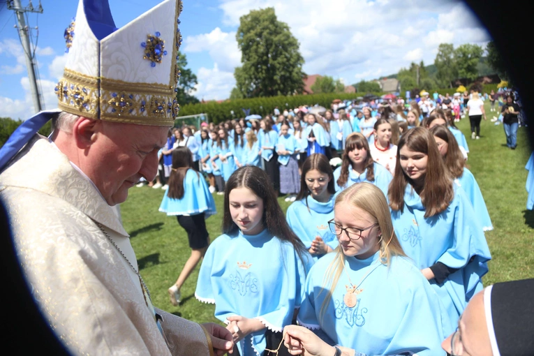 Przyjęcie przewodniczek DSM