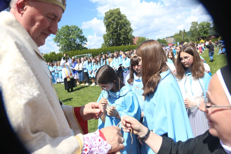 Przyjęcie przewodniczek DSM