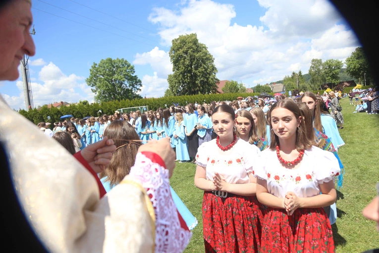 Przyjęcie przewodniczek DSM