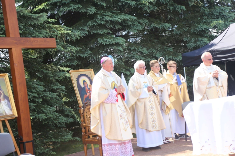 Przyjęcie przewodniczek DSM