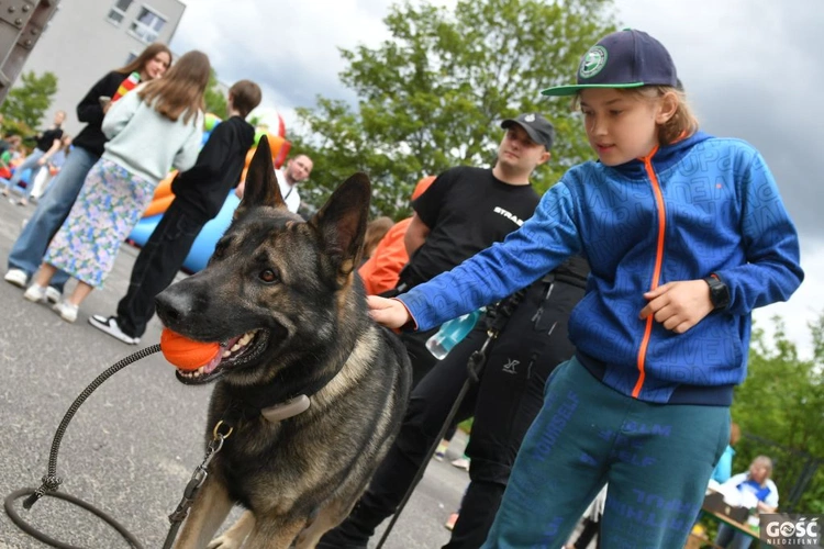 Festyn charytatywny w katoliku