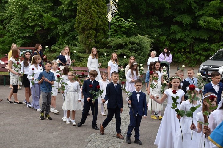 Przygotowania przed wprowadzeniem relikwii bł. rodziny Ulmów