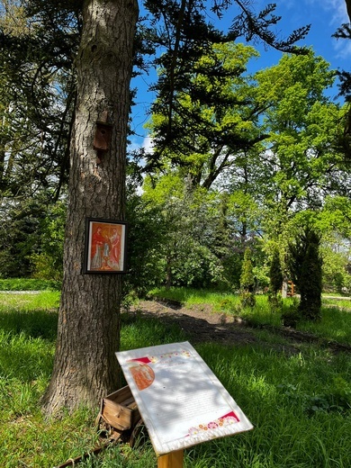 Przy sanktuarium w Babimoście powstaje ogród maryjny