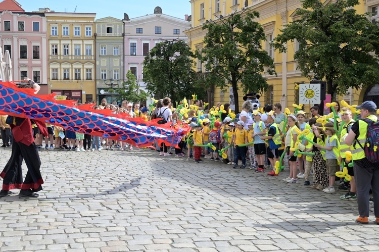 Marsz Nadziei w Świdnicy