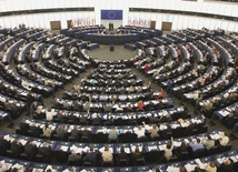  Parlament Europejski nie reprezentuje żadnej realnej wspólnoty, a uzurpuje sobie prawa, których nie powinien mieć. 