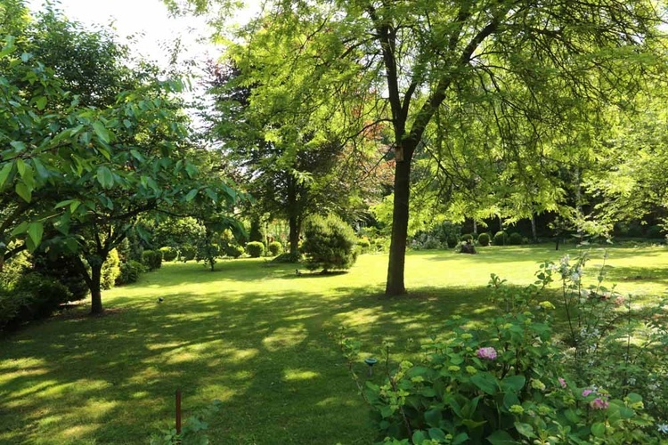 Park Archeologiczny u paulinów na Skałce