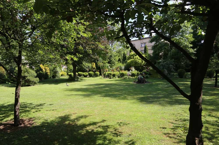 Park Archeologiczny u paulinów na Skałce