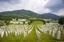 W Srebrenicy