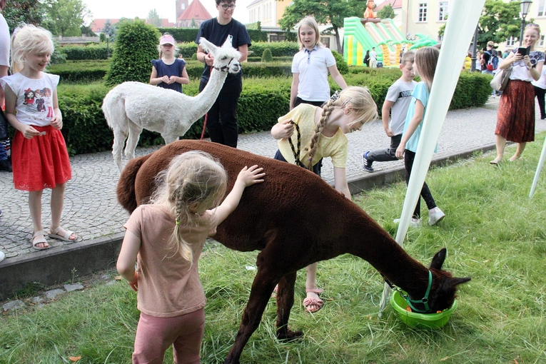 Festyn św. Filipa Smaldone we Wrocławiu 2024