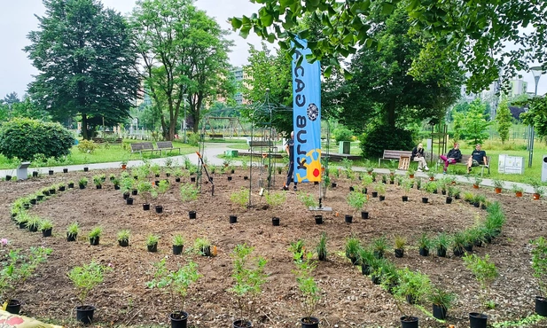 Sosnowiec. Powstaje „Kwitnący labirynt”