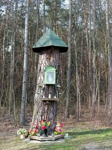 Maj i czerwiec to miesiące, w których wierni gromadzą się w tym miejscu na modlitwę.