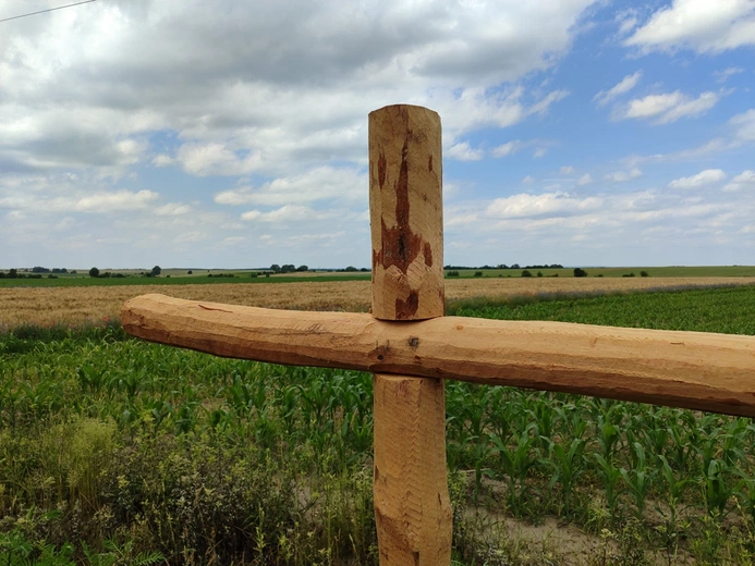 Pielgrzymka do grobu i miejsca męczeństwa bł. s. M. Acutiny