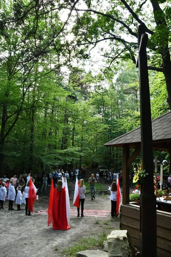 Piekarska Góra. 160 lat krzyża powstańczego