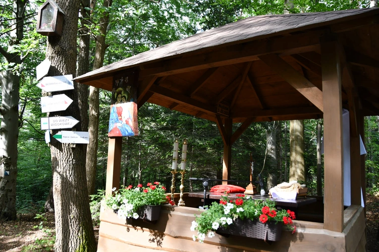 Piekarska Góra. 160 lat krzyża powstańczego