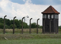 W środę obchodzimy Narodowy Dzień Pamięci Ofiar Niemieckich Nazistowskich Obozów Koncentracyjnych i Obozów Zagłady