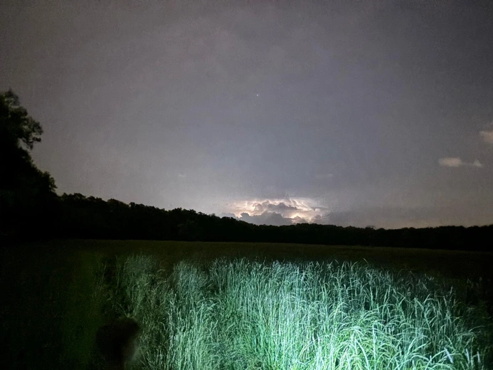 Nocowanie w lesie 2024