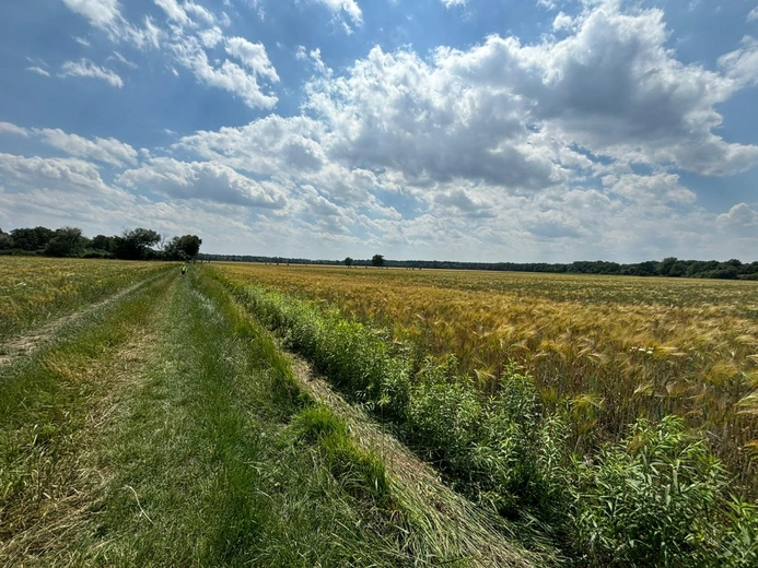 Nocowanie w lesie 2024