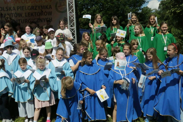 Pielgrzymka LSO do Wąwolnicy