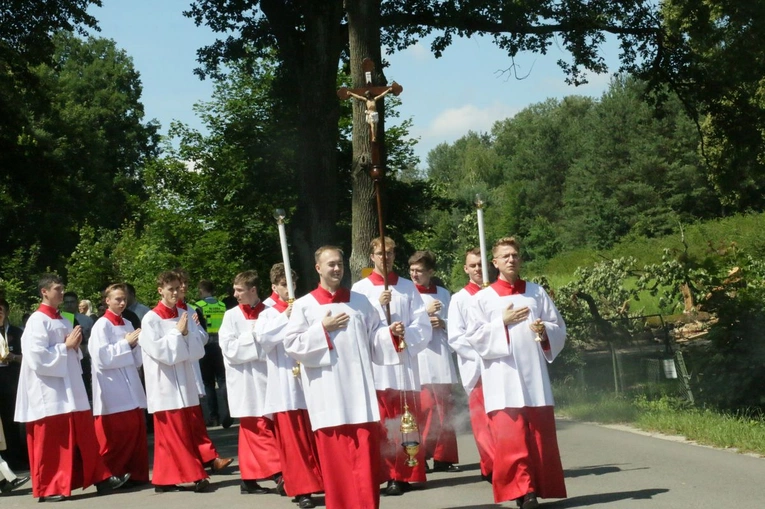 Pielgrzymka LSO do Wąwolnicy