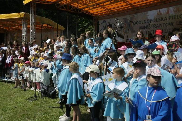 Pielgrzymka LSO do Wąwolnicy