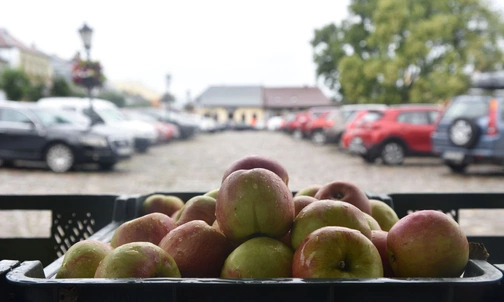 Stary Sącz - sanktuarium św. Kingi