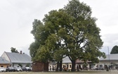 Stary Sącz - sanktuarium św. Kingi