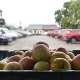 Stary Sącz - sanktuarium św. Kingi