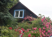 Stary Sącz - sanktuarium św. Kingi