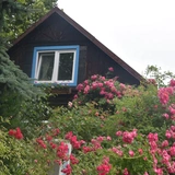 Stary Sącz - sanktuarium św. Kingi