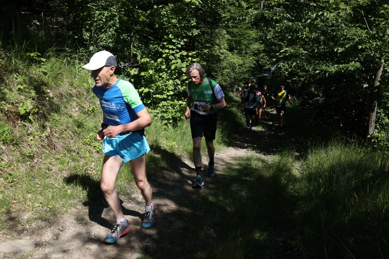 Bieg Frassatiego 2024