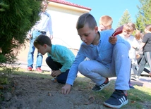Zasadzeni