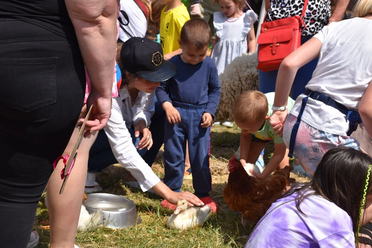 Zagroda Powroty na Rodzinnym Pikniku Misyjnym