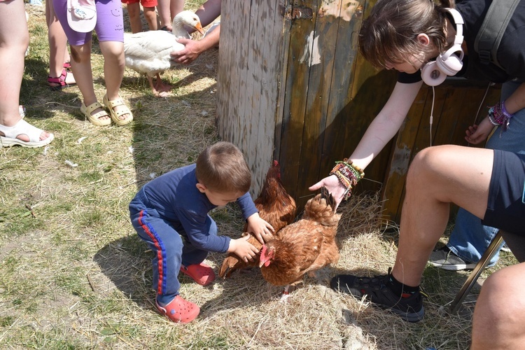 Zagroda Powroty na Rodzinnym Pikniku Misyjnym